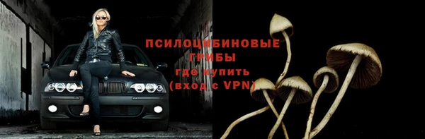 прущие крисы Баксан