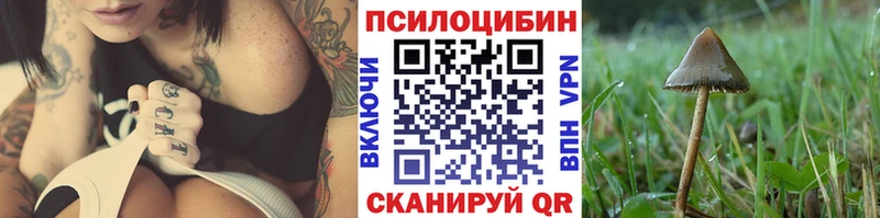 Галлюциногенные грибы Psilocybine cubensis  Тосно 