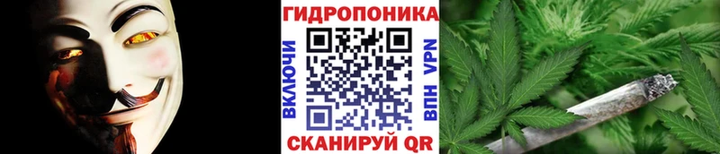 Бошки Шишки ГИДРОПОН  Тосно 